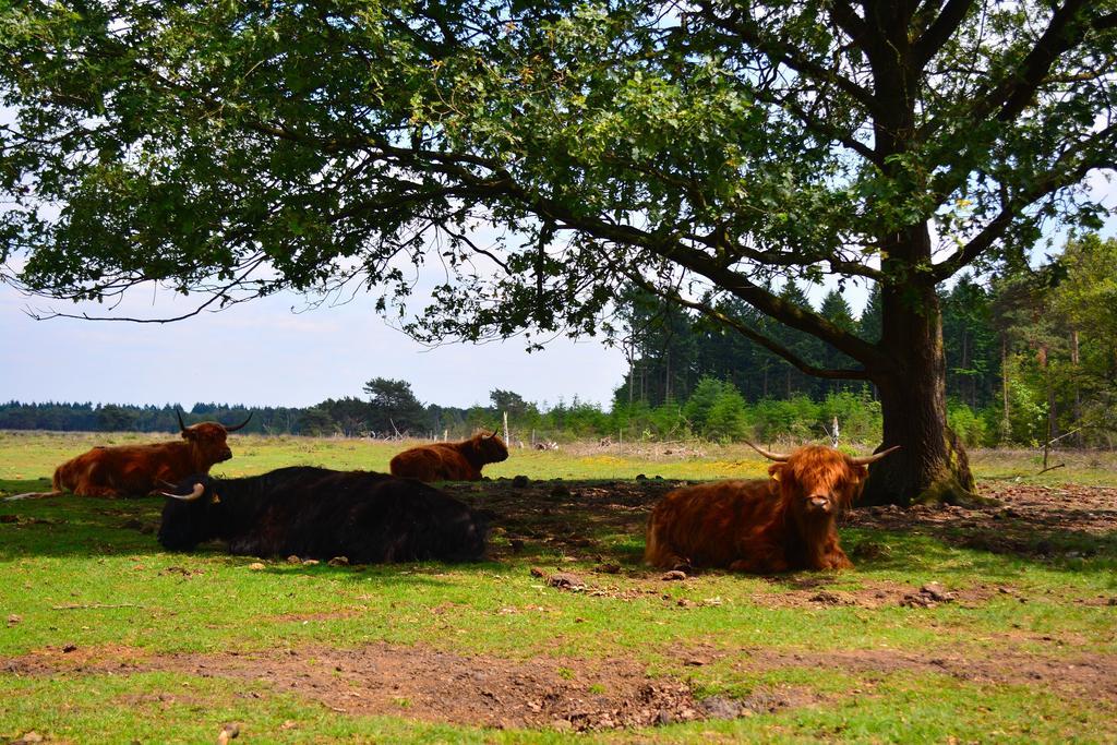 B&B Leendershoeve In Heusden Asten Bagian luar foto