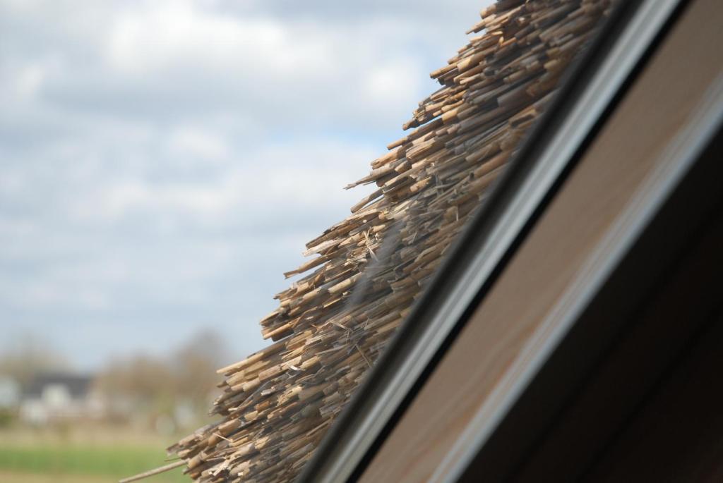 B&B Leendershoeve In Heusden Asten Bagian luar foto