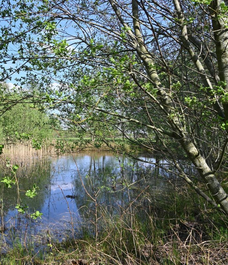 B&B Leendershoeve In Heusden Asten Bagian luar foto